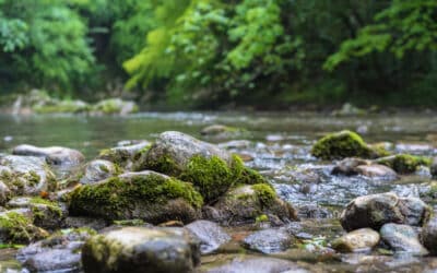 Descubre cómo la espiritualidad puede transformar tu vida